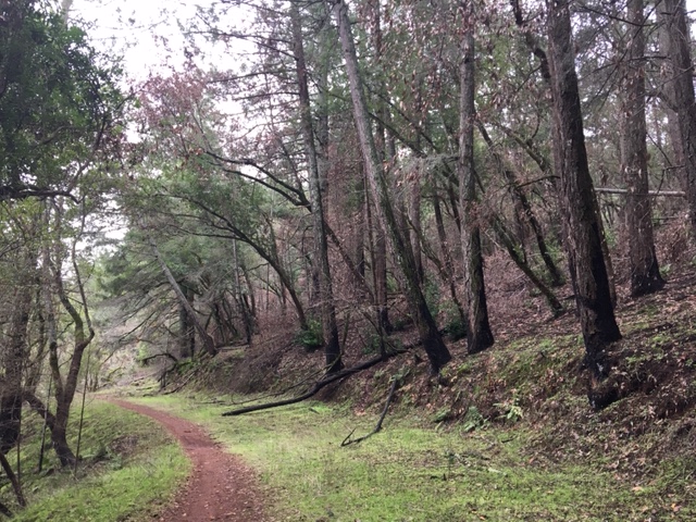 Trione-Annadel State Park
